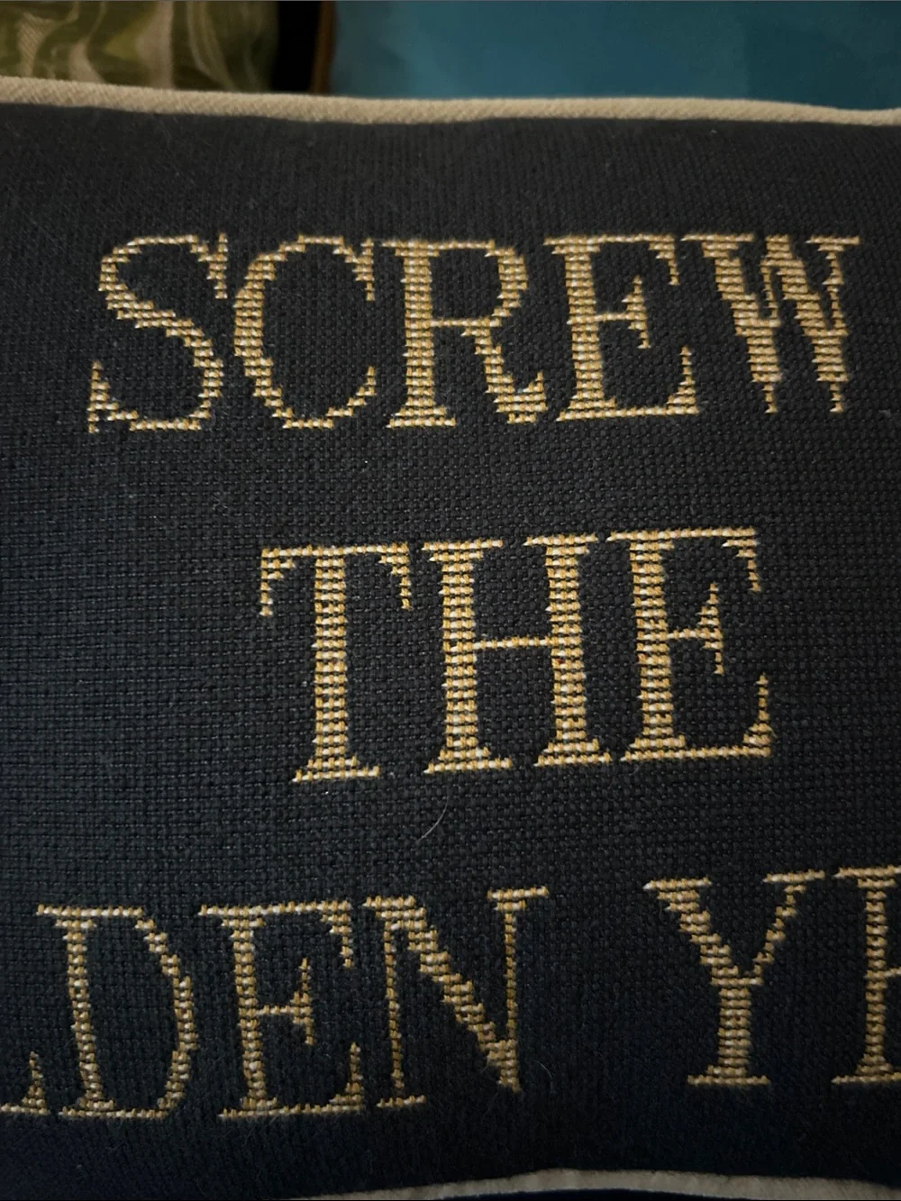 Funny Screw The Golden Years Needlepoint Pillow 9x12 Wool Sarcastic Couch Decor